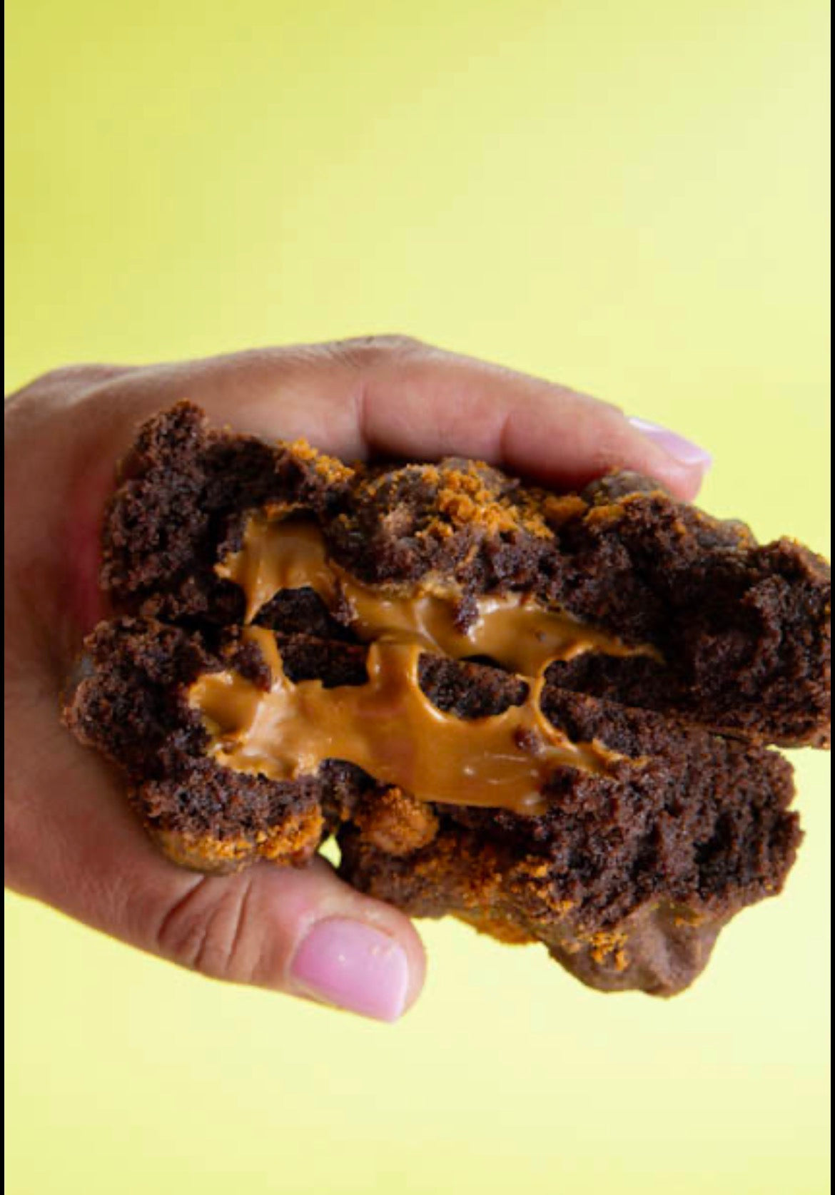Chocolate Biscoff